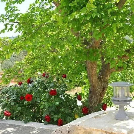 Holiday home Beautiful Trulli With Pool Near *